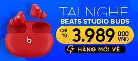 BEATS STUDIO BUDS