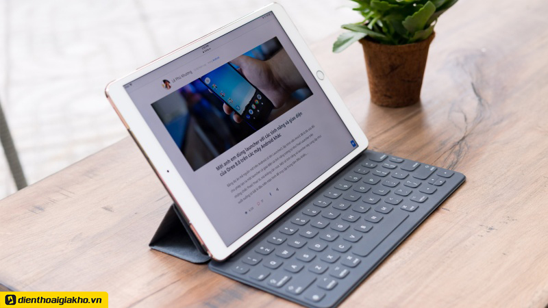 iPad Pro 2015/2016 (1st generation) 