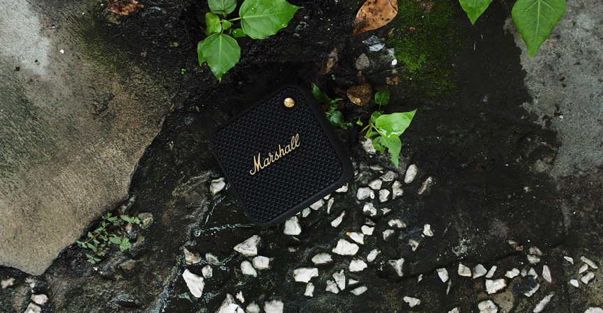 loa marshall