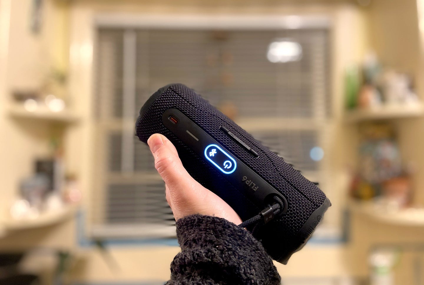 loa JBL Flip 6