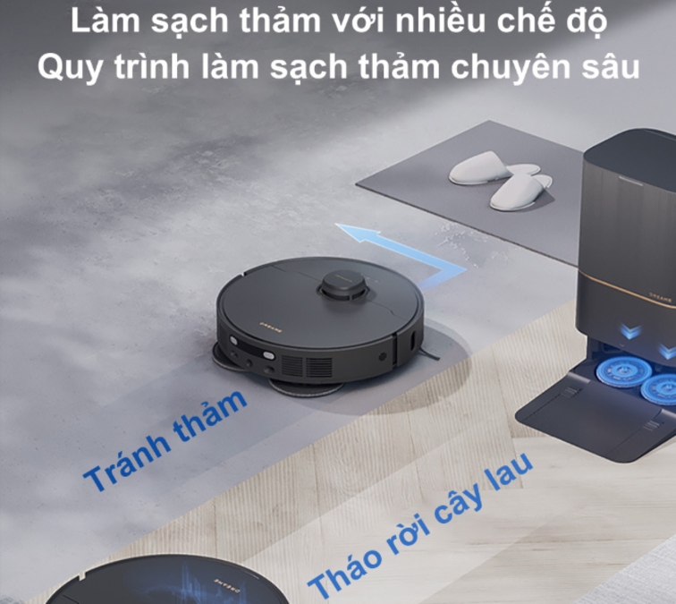 Chế độ tránh thảm