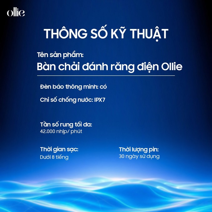 Bàn chải đánh răng điện Ollie OLB-MLM-SG-01