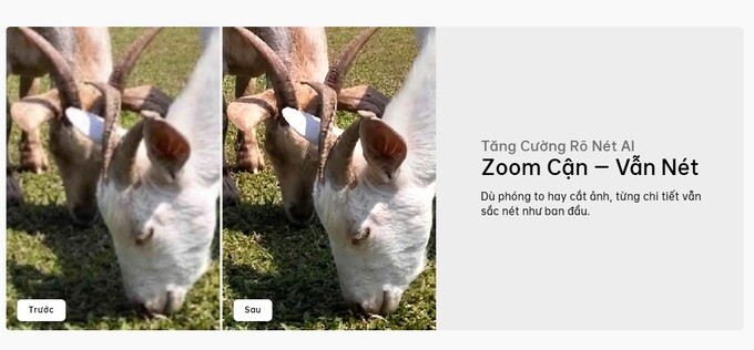 Zoom cận vẫn nét