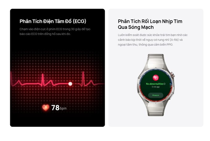 Phân tích điện tâm đồ