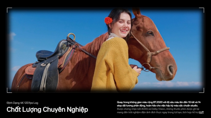 Chất lượng chuyên nghiệp