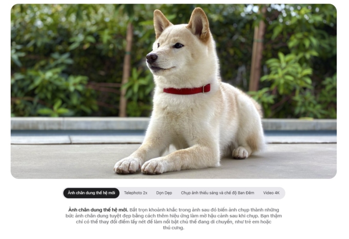 camera tr&ecirc;n iphone 17e